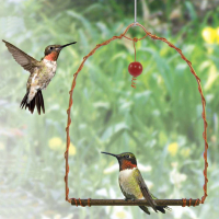 Hummingbird Accessories